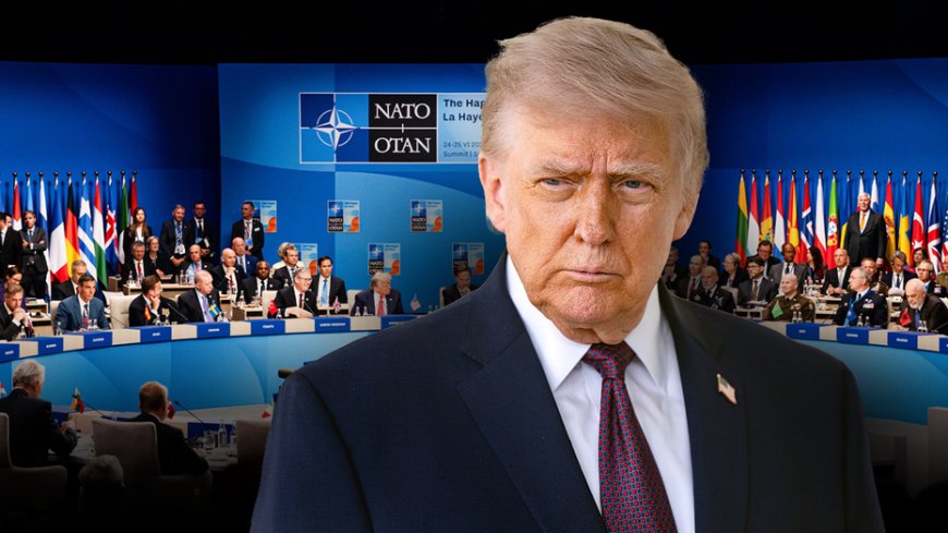 Most Trump supporters still back NATO despite years of Trump's criticism, new poll finds