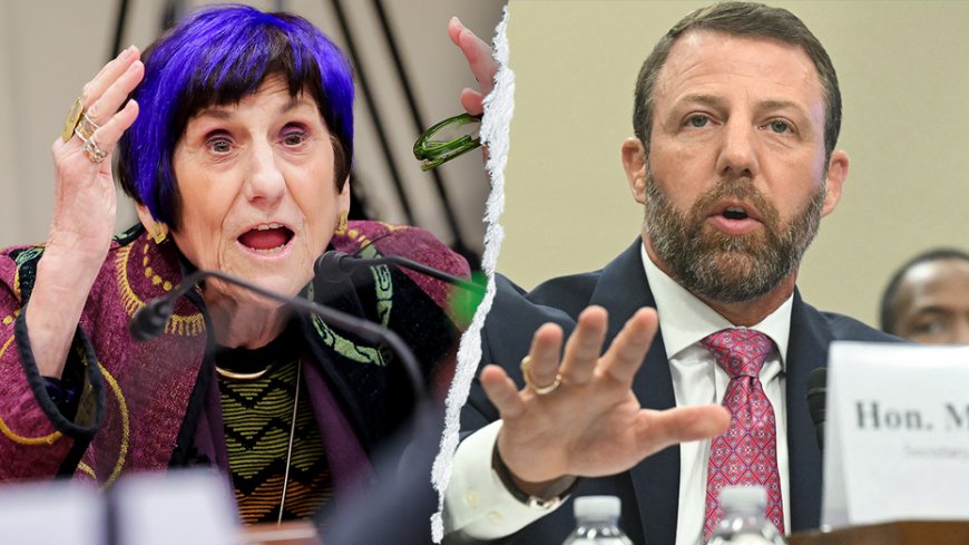 WATCH: Hearing derails as purple-haired Dem points finger, screams at chair to put DHS chief 'in his place'
