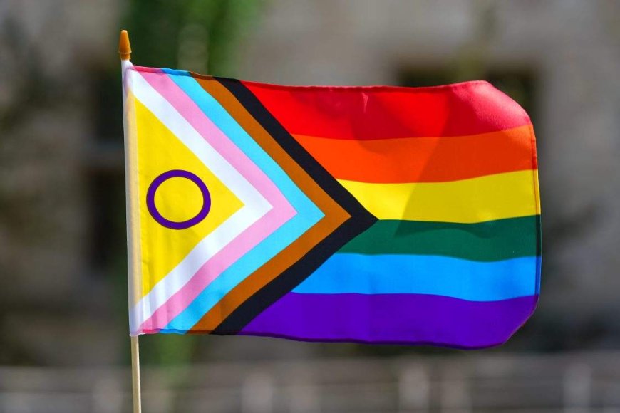 FIFA to allow pride flags at Iran-Egypt World Cup clash in Seattle