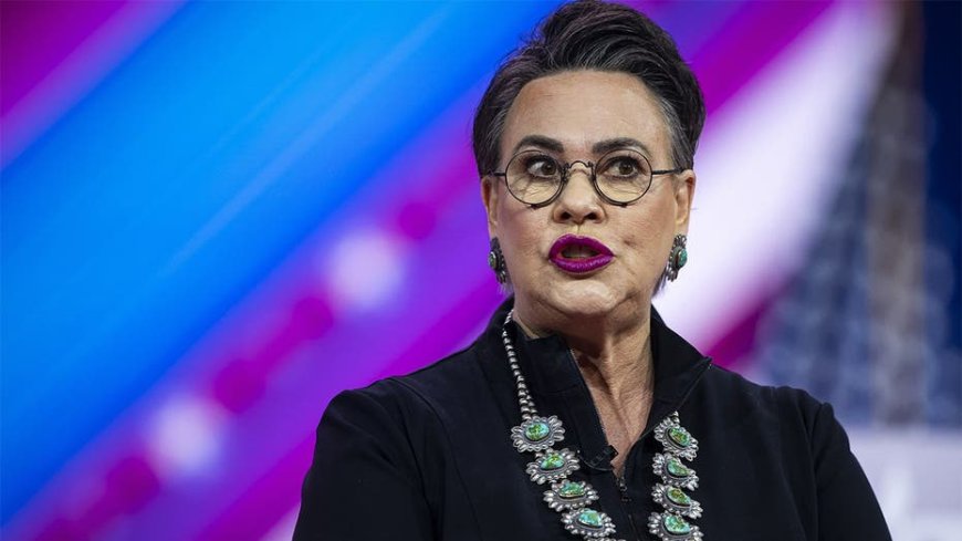 Dems put on blast over poll that shows record-low patriotism in US: 'Tear our society apart'
