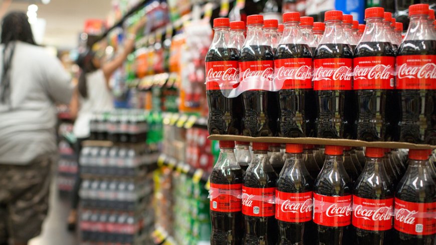 SEE IT: SNAP advocate defends taxpayer-funded Coca-Cola in fiery exchange with GOP lawmaker on waste