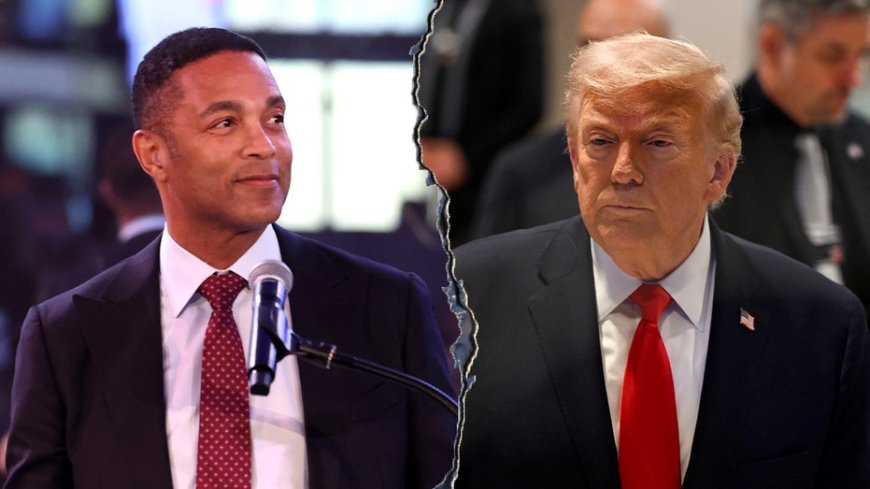 Ex-CNN anchor Don Lemon agrees Trump played liberal network 'like puppets'