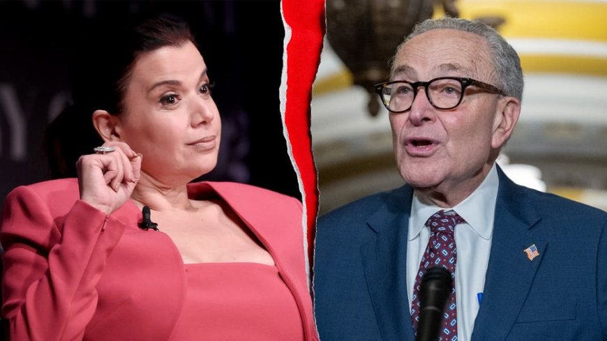 'The View' co-host issues warning to Chuck Schumer amid socialist victories, says 'you're in danger'