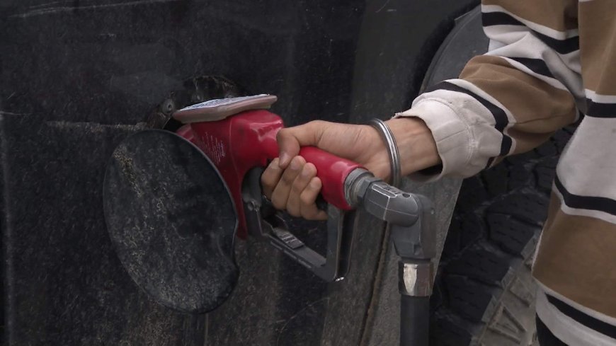 Oil prices plummet on hopes of increased supply, high gasoline prices persist