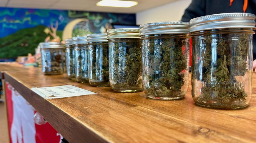 Nova Scotia rolls out new cannabis rules, but Mi’kmaq group defends economic rights