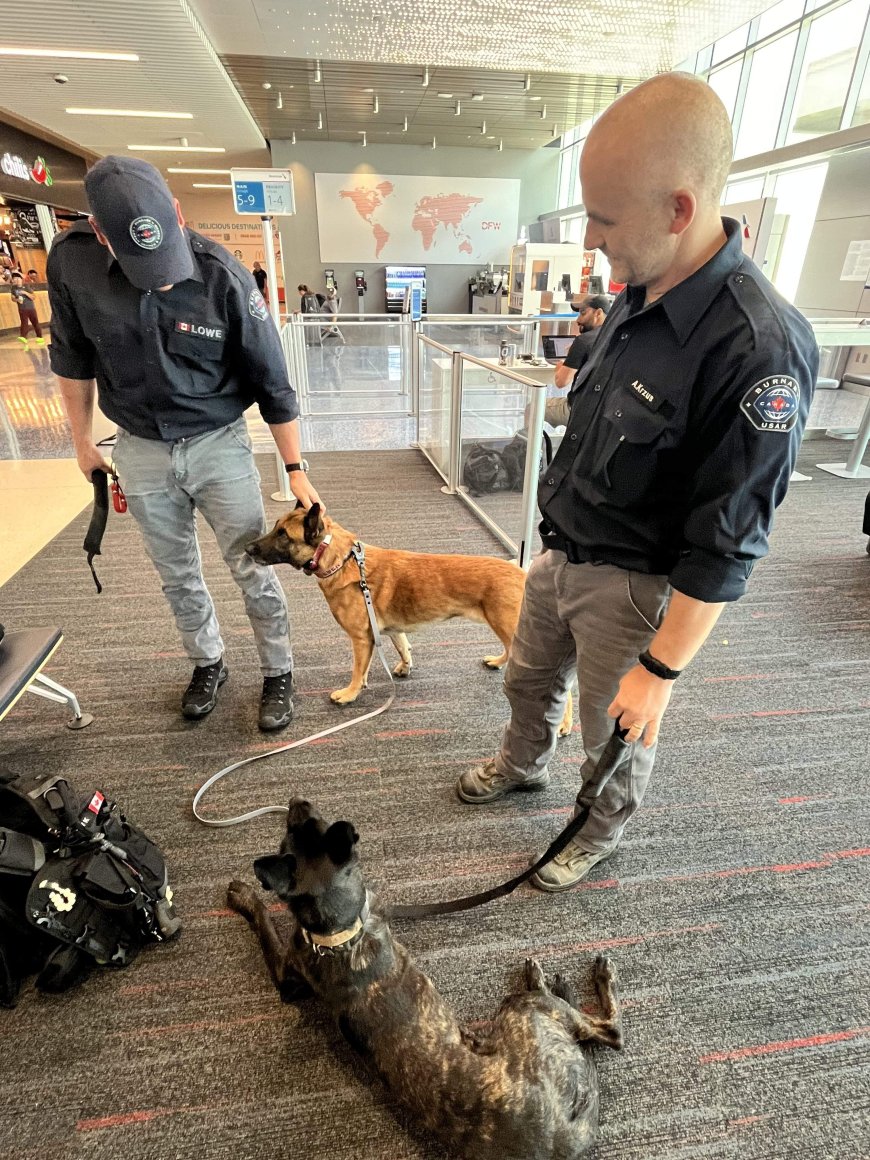 Burnaby Urban Search and Rescue team deploys to Venezuela after deadly earthquakes