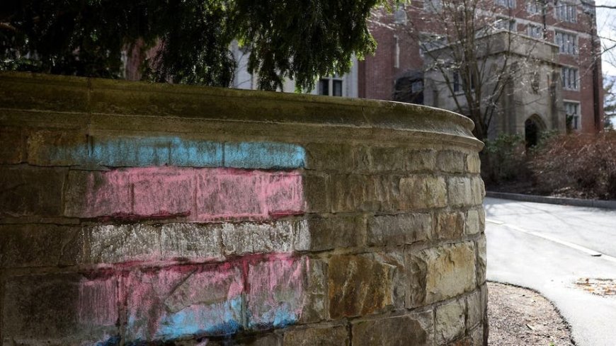 All-women's school Wellesley College responds to accusations of admitting biological male trans students