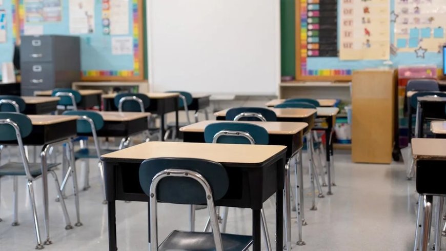 Georgia district quietly trained teachers to blame 'Whiteness,' 'decolonize' under federal crackdown: report