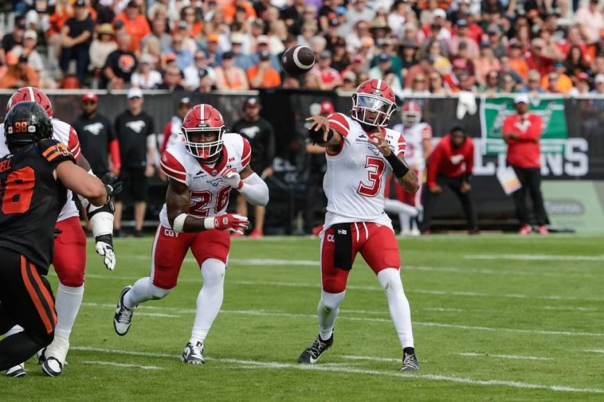 Stampeders ruin Lions’ party with 41-33 win