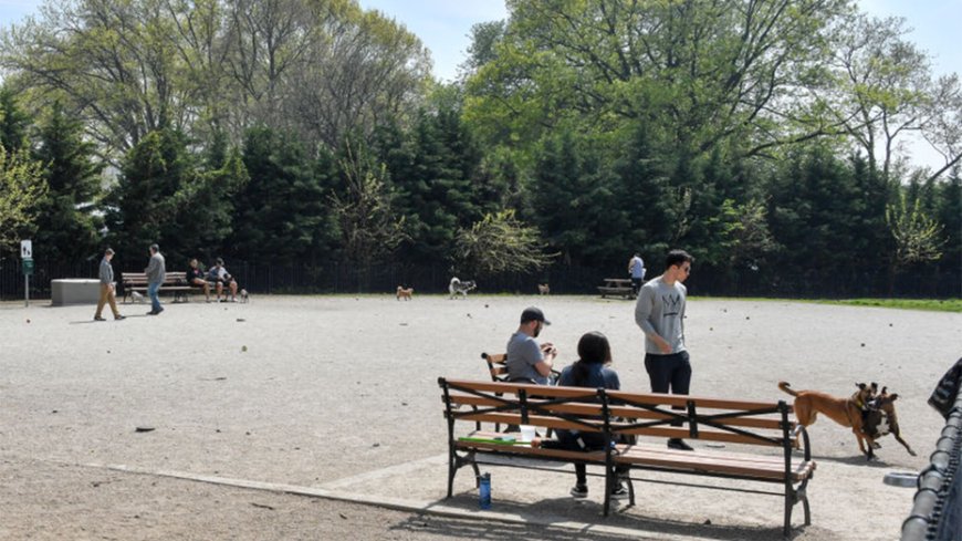 Man dead, another critical after double stabbing at Brooklyn park as police detain person of interest: NYPD