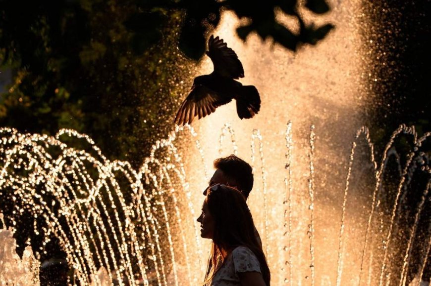 France records around 1,000 additional deaths amid extreme heat wave leading to European records