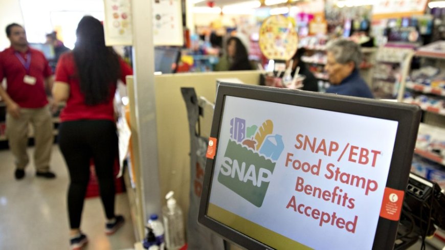 SNAP food stamp fraud has nefarious terrorism links, top Agriculture watchdog warns Congress