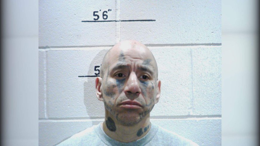 Convicted violent offender with high risk to re-offend released back into Winnipeg: police