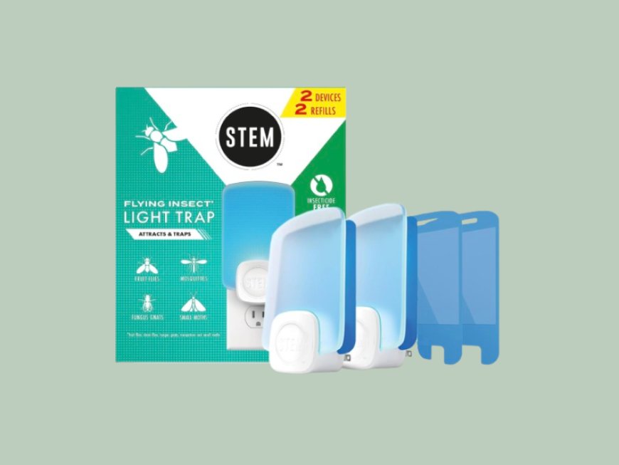 Bug-proof your summer: 9 products that actually keep the pests out