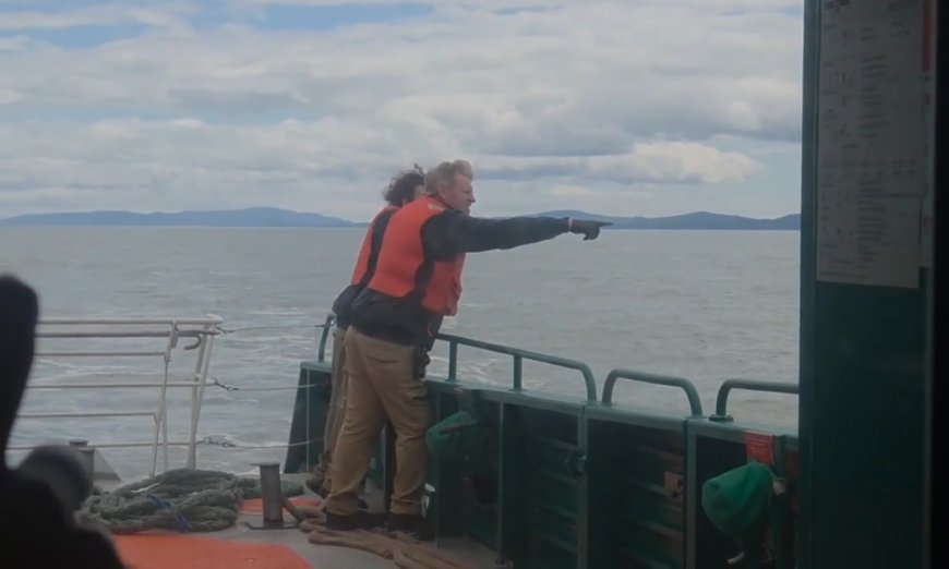 Four rescued from water near Vancouver airport, search ongoing