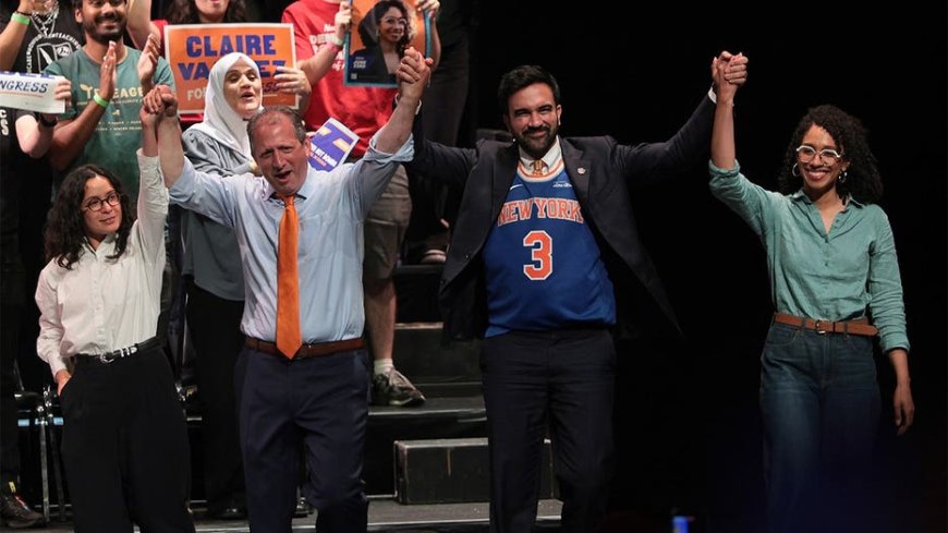 Democratic socialists seize the moment with extreme, anti-American views that badly tarnish the party