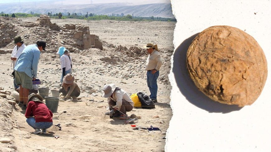 Archaeologists uncover freeze-dried potatoes older than the US in 'excellent' condition