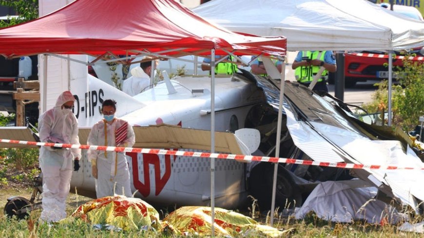 Families watch in horror as skydiving plane crashes in France, killing all 11 aboard