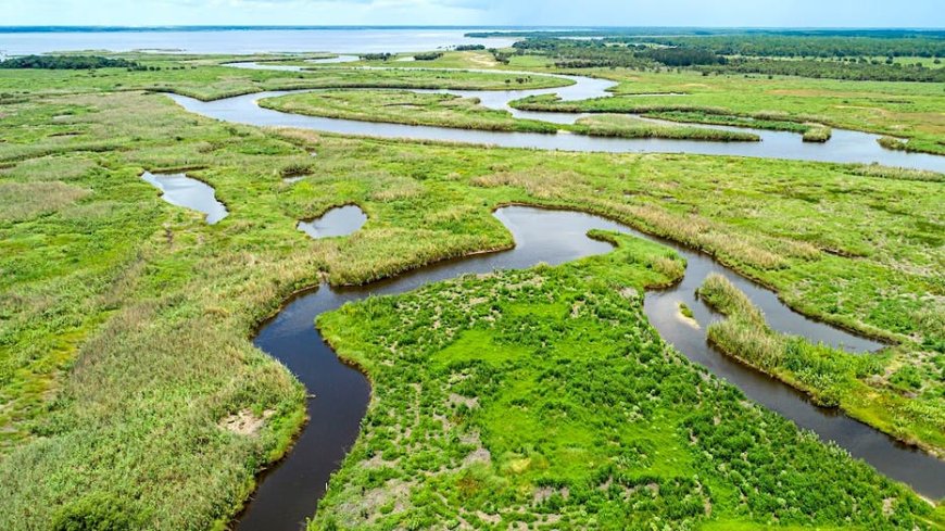 Weekend alligator attacks leave Florida woman dead, child injured