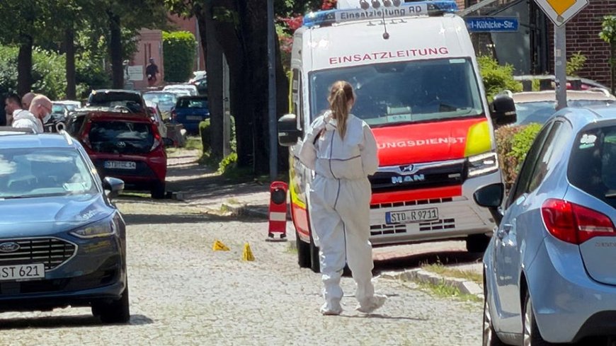 Gunman kills 6 at youth welfare facility in suspected child custody dispute: reports