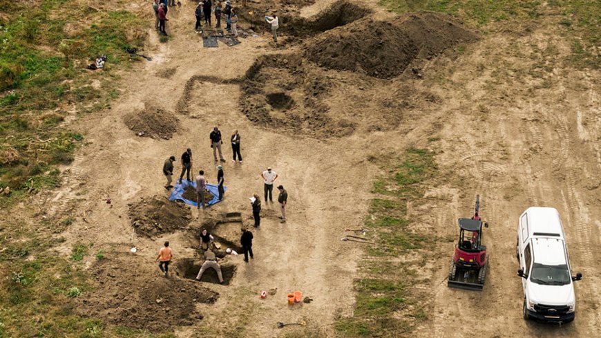 A California dog rescue hid a grim secret: more than 100 dogs buried beneath it
