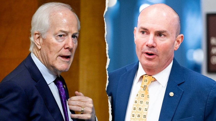 GOP infighting over Trump's voter ID bill erupts as top senator calls strategy 'fantasy'