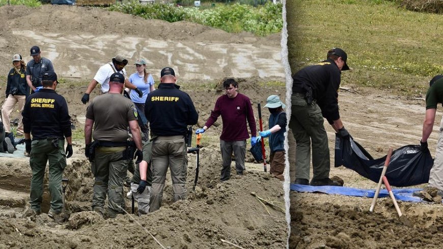 117 dead dogs found at animal rescue, many with gunshot wounds as investigators probe for answers