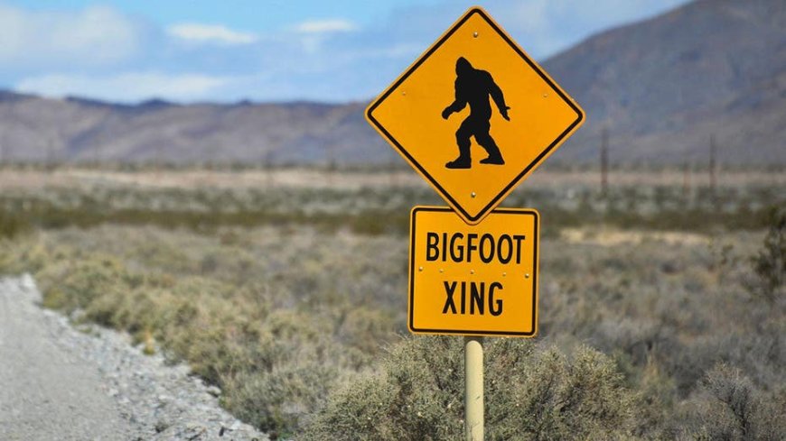 Bigfoot is a Neanderthal-Human hybrid, according to the man who claims to have found remains