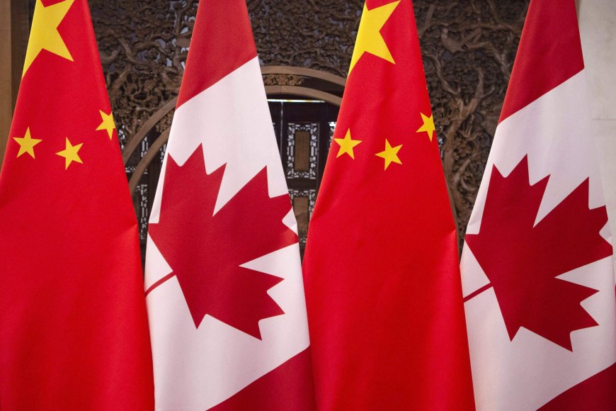 China slaps 73.5% preliminary tariff on pea starch from Canada