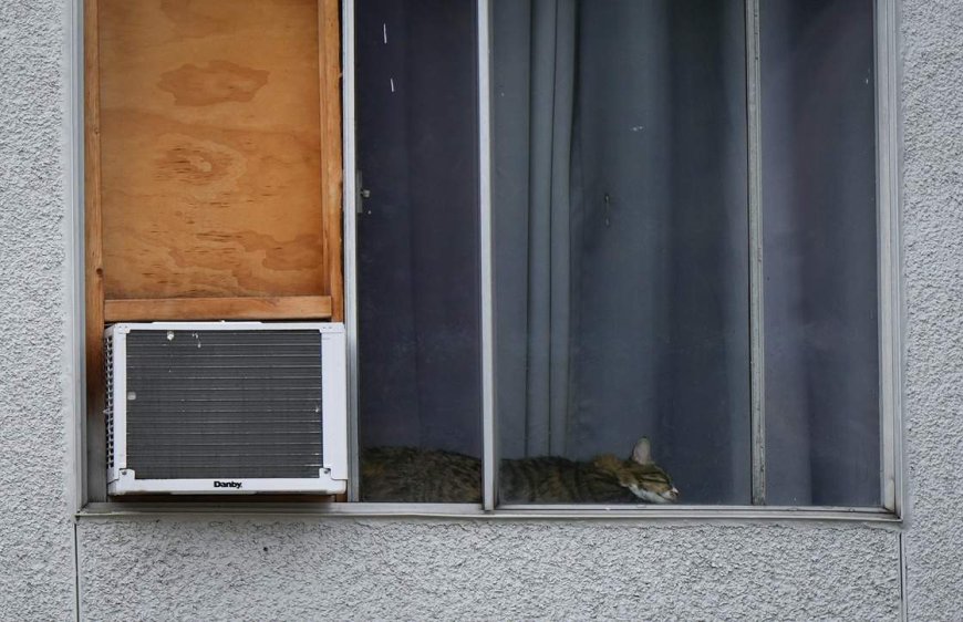 Renting in a heat wave? What landlords owe tenants in extreme temperatures