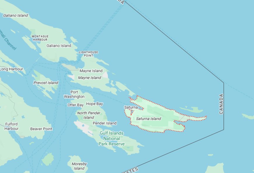 5 people rescued after their vessel hits a reef, sinks near Saturna Island