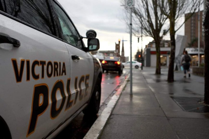 2 men arrested in connection with ‘violent’ sexual assault in Victoria