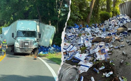 Thousands of beer cans spill across Connecticut highway after tractor-trailer overturns