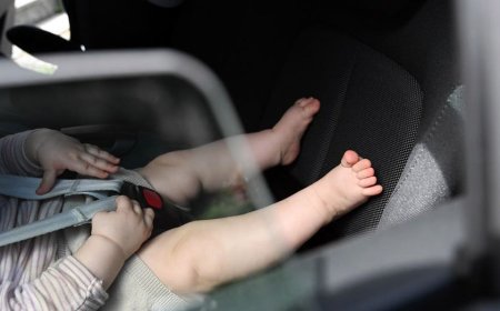 Florida toddler dies after father realizes child was left in SUV during daycare pickup