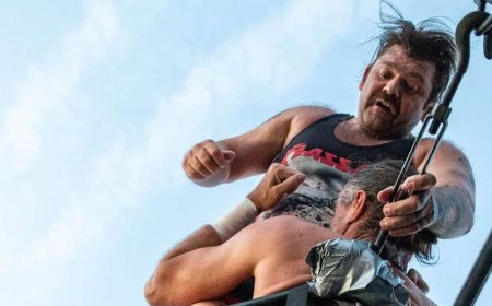 Pro wrestler Vinnie Massaro found his 'WrestleMania moment' in Japan, shares love for building sport's future