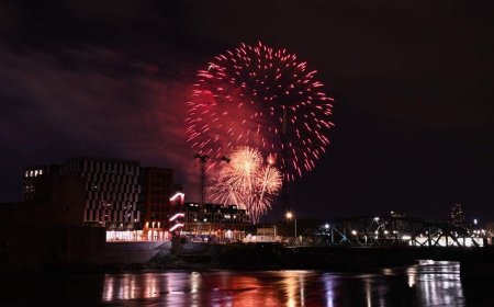 Canada Day fireworks and pets: How to keep your furry friend safe