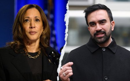 Harris reaches out to socialist mayor Mamdani in latest sign she's shoring up support for possible 2028 bid