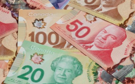 First Canada grocery benefit payment arrives this week