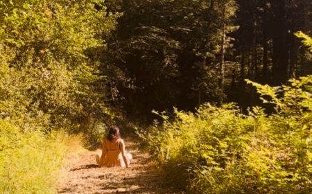 I thought I needed to fix my life. Nature showed me I needed to remember it.