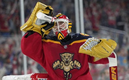Reports: Maple Leafs sign Bobrovsky in free agency
