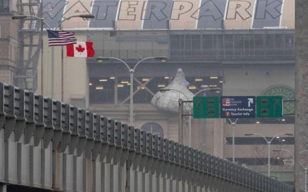 Drug seizures at Canada-U.S. border dropping, Congress hears
