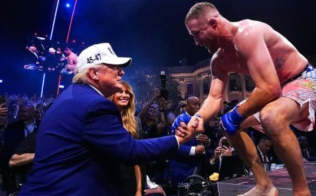 New Fox Nation show blows open the wild secrets inside the ‘impossible’ White House UFC fight