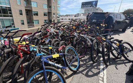 West Coast state sheriff's bait bike sting snares dozens of alleged thieves in just months