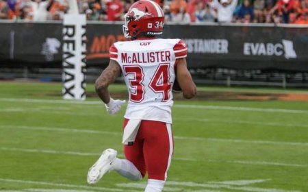 McAllister back in CFL groove with big returns