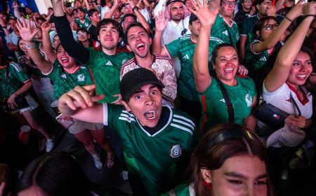 Mexican soccer fans celebrate advancing in the World Cup by wailing on each other in impromptu boxing match