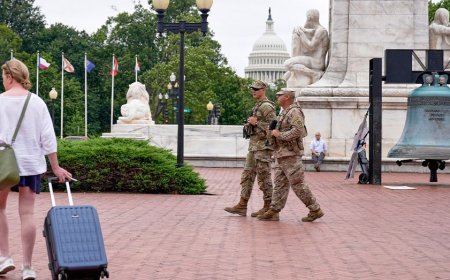DC settles with left-wing protester who tailed National Guard while playing Darth Vader theme song