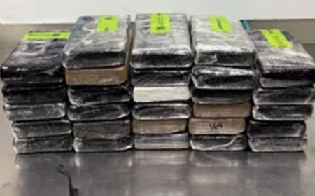 Border agents uncover $3.7M in cocaine masquerading as a cucumber delivery