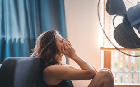 Trump admin axes 'Green New Scam' appliance rules as Europe bakes in brutal heat