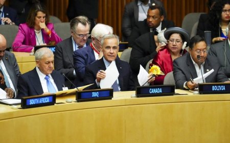 Carney’s Davos speech being put in practice at UN, ambassador says