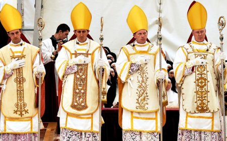 Vatican excommunicates breakaway Catholic bishops who defied Pope Leo XIV